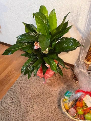 Gallery Image : K.E.E Cleaning Service